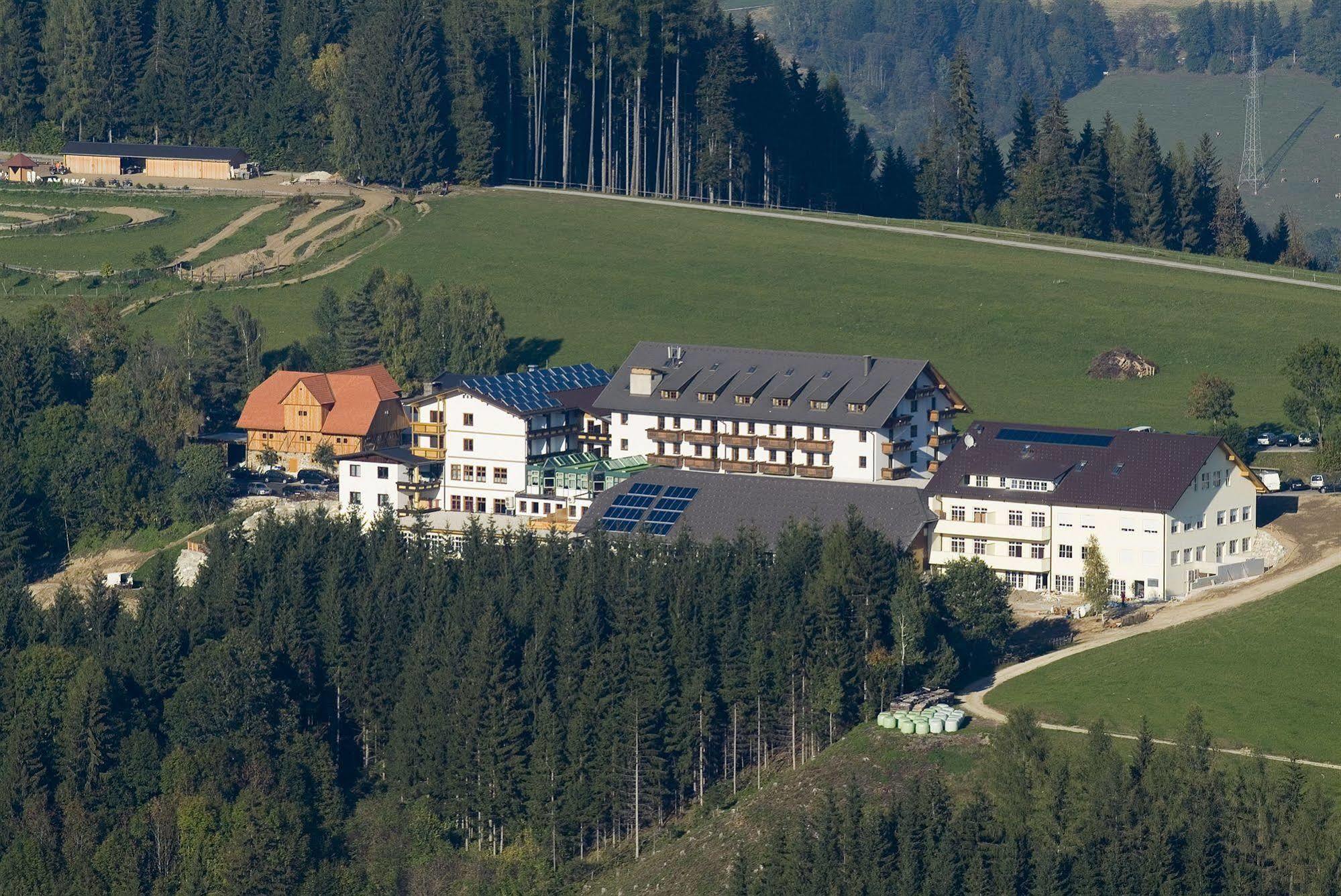 Hotel Moselebauer Bad Sankt Leonhard im Lavanttal Eksteriør billede